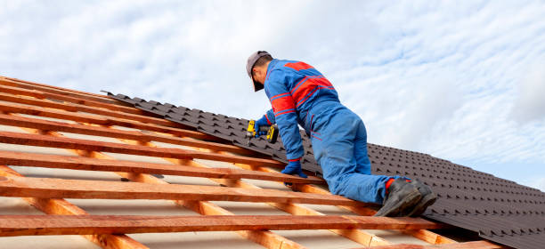 Best Chimney Flashing Repair  in Frankfort, IL