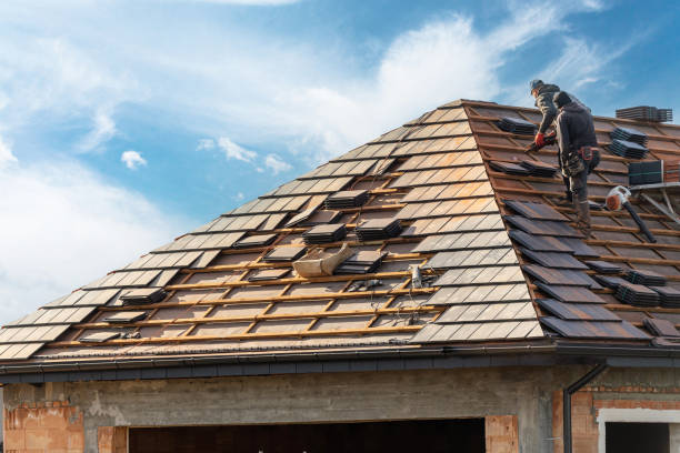 Best Roof Ventilation Installation  in Frankfort, IL