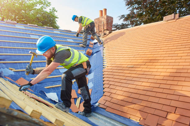 Best Asphalt Shingles Roofing  in Frankfort, IL